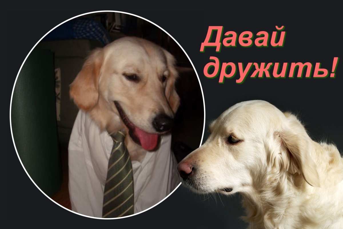 Медвежонок Тедди девочка