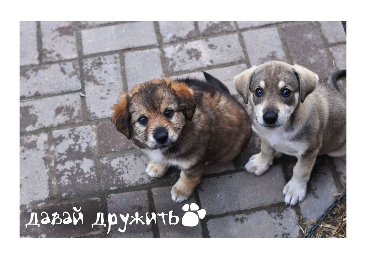 Дружба открытки красивые