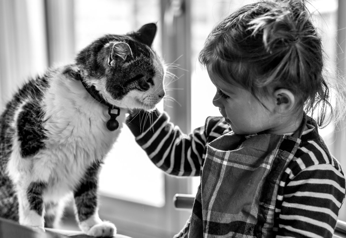 Давайте дружить