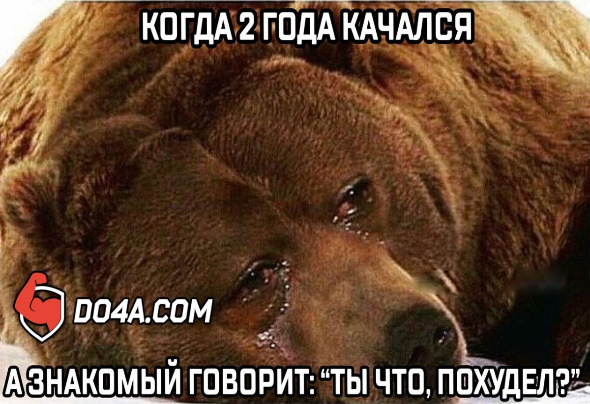 Смешной мишка