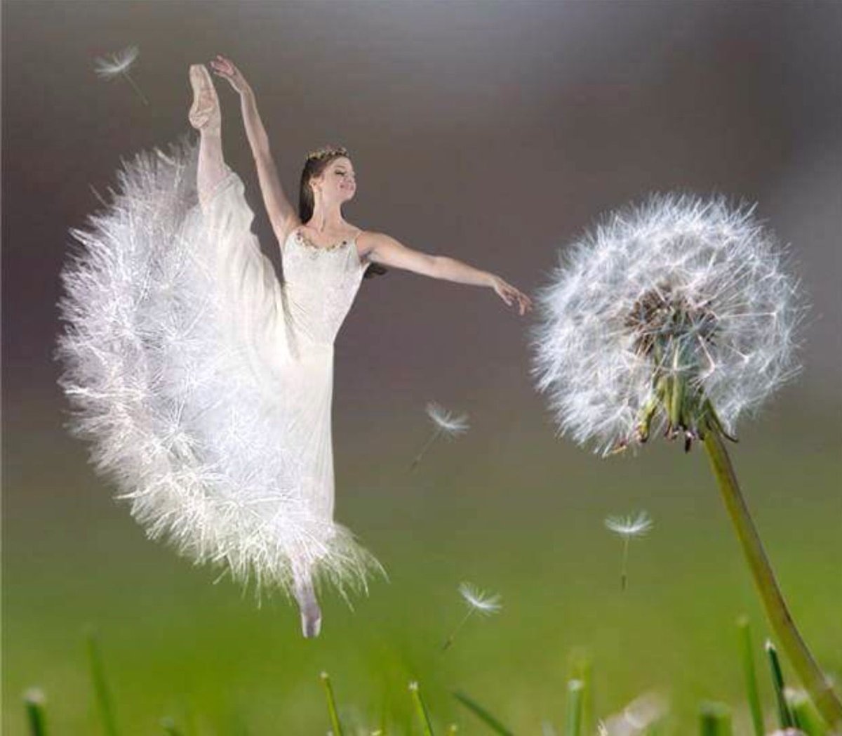 Балерина в цветах