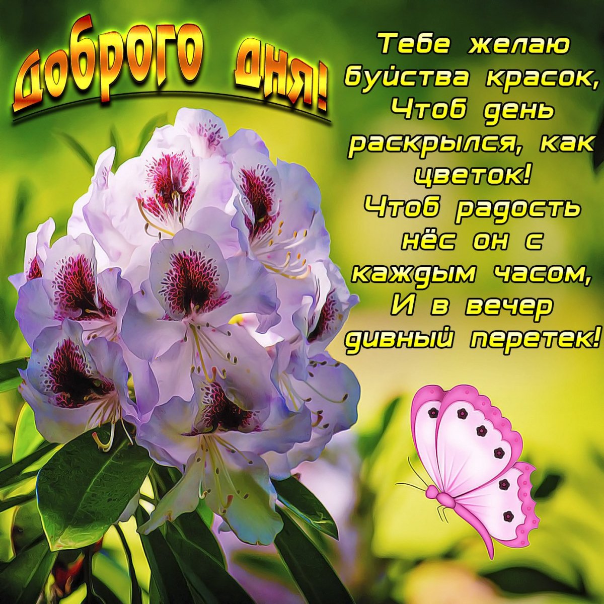 Пожелания на день