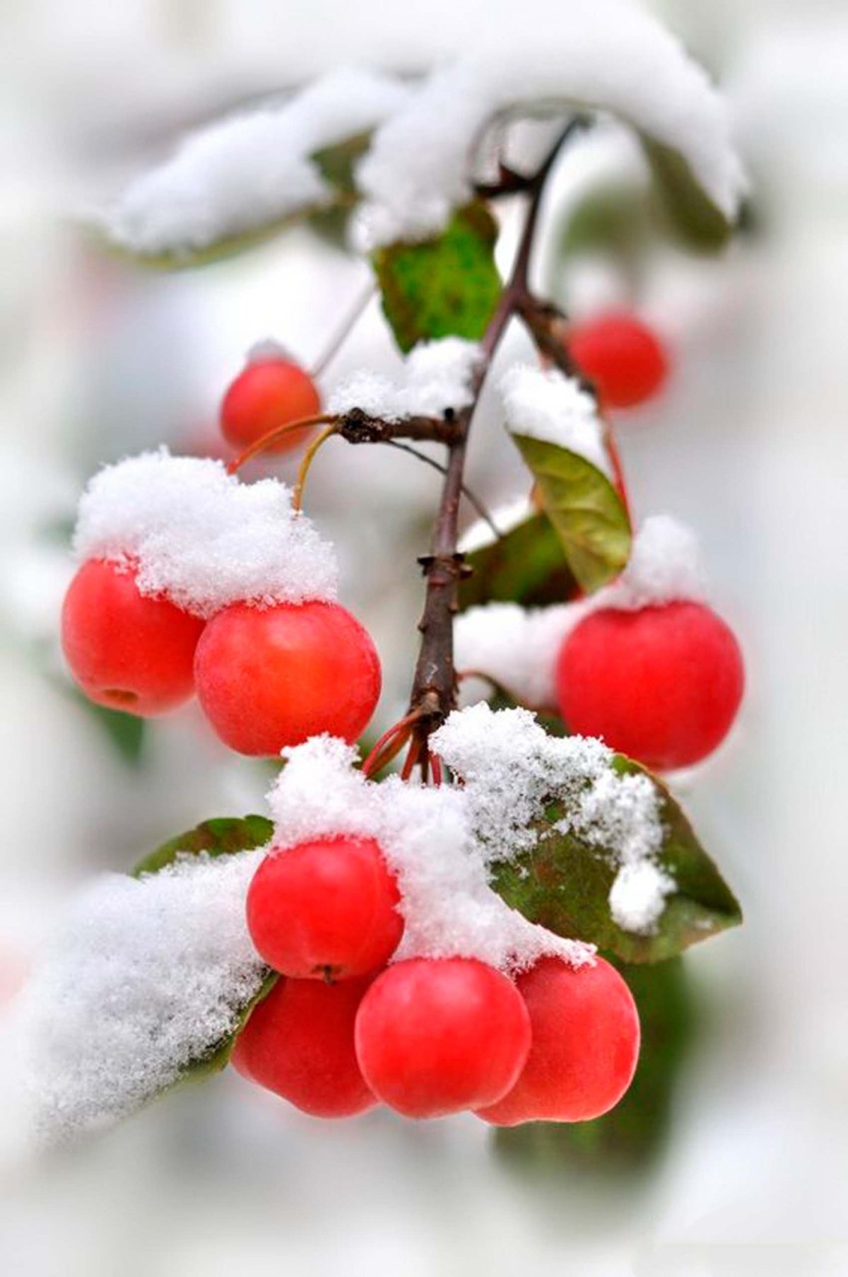 Доброго зимнего дня