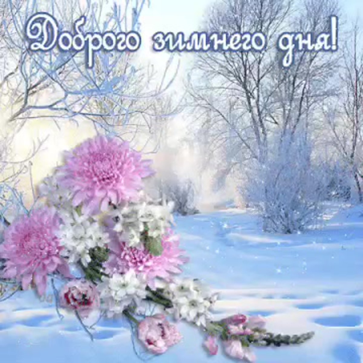 Прекрасного зимнего дня