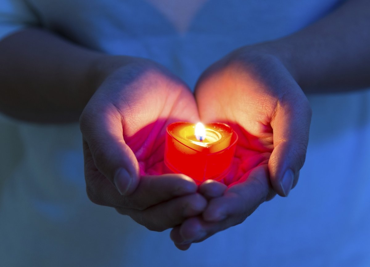 Сердце в руках