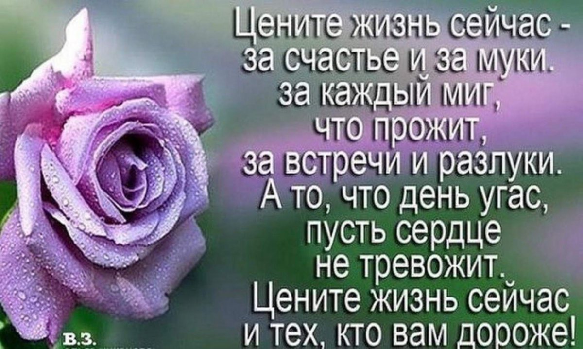 Цените жизнь стихи