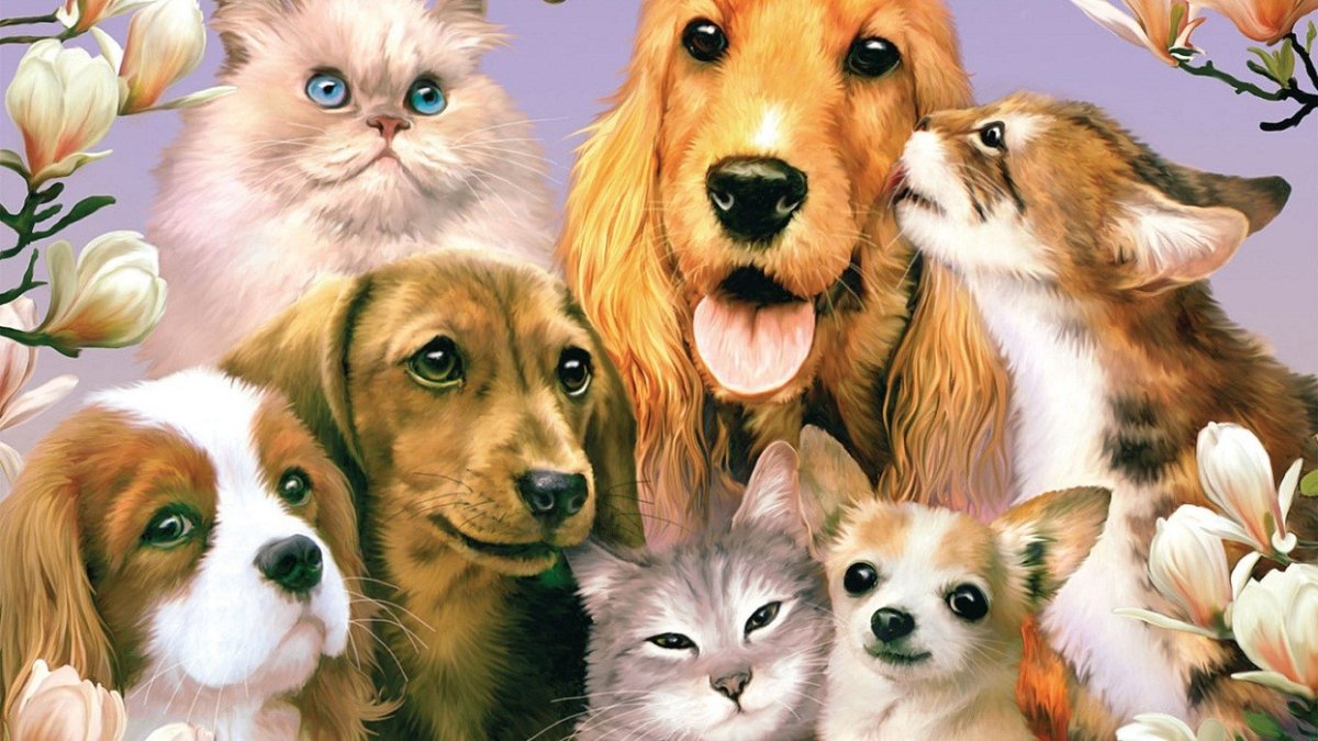 Много домашних животных