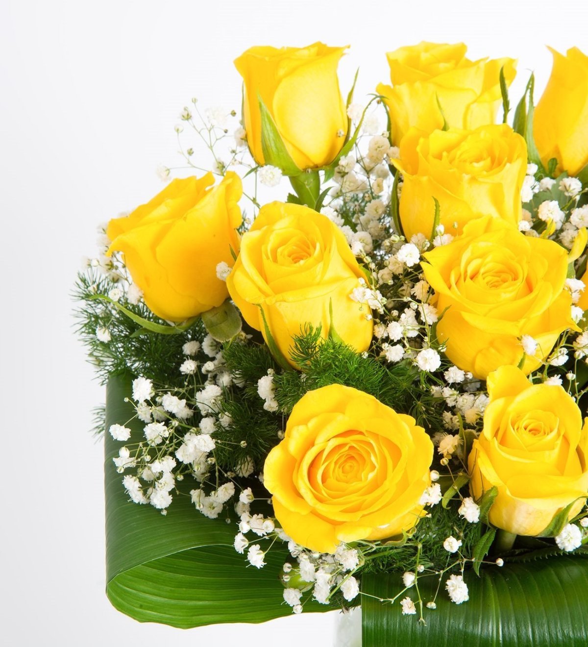 Открытки с днём рождения женщине с желтыми цветами