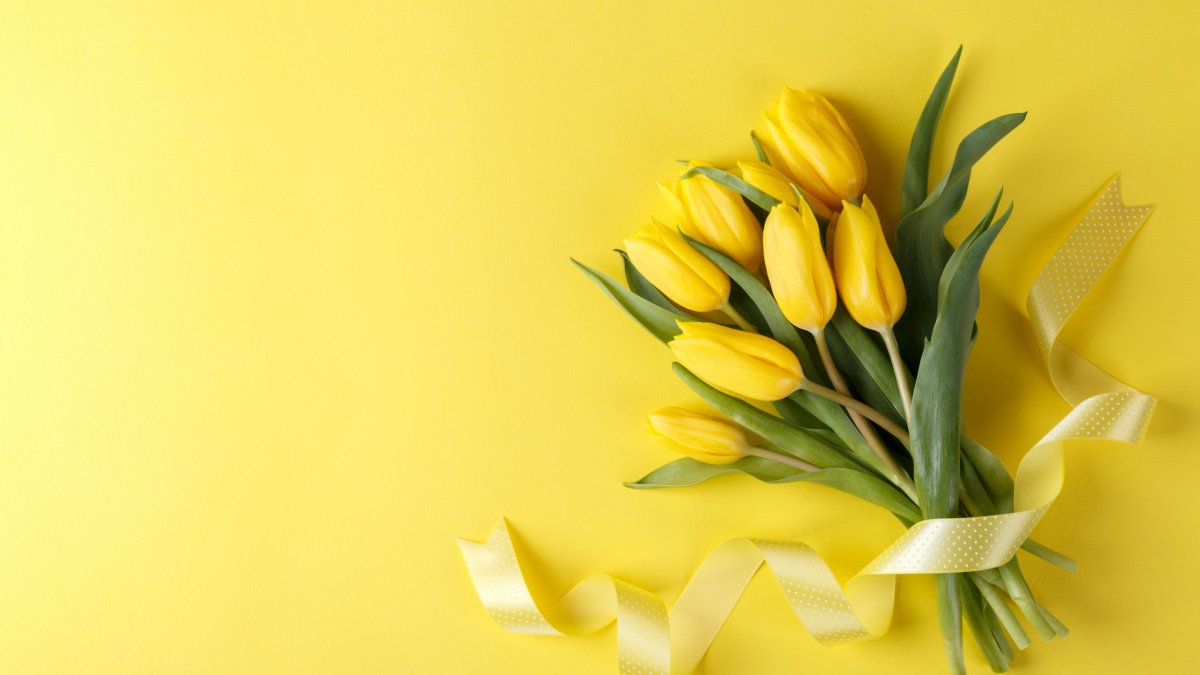 Открытки с днем рождения с нарциссами