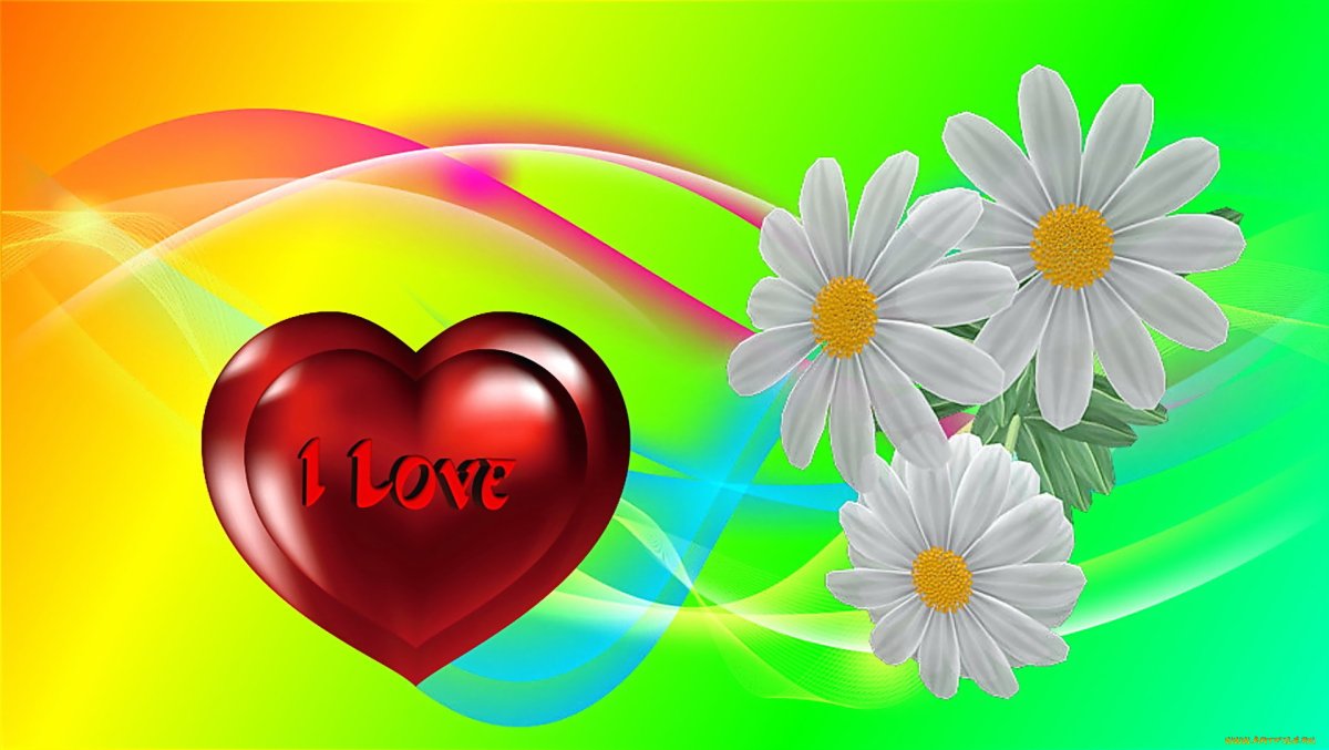 Ромашки сердце