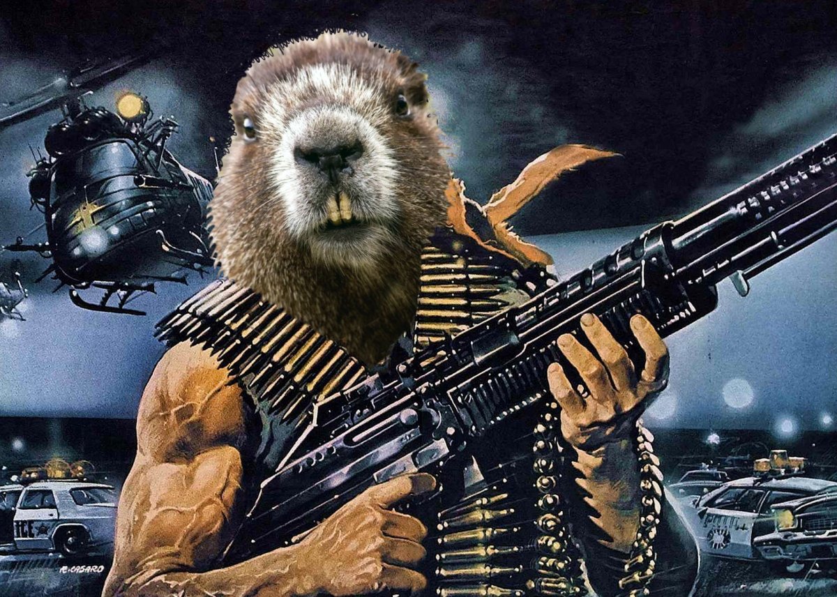 Хомяк с пулеметом