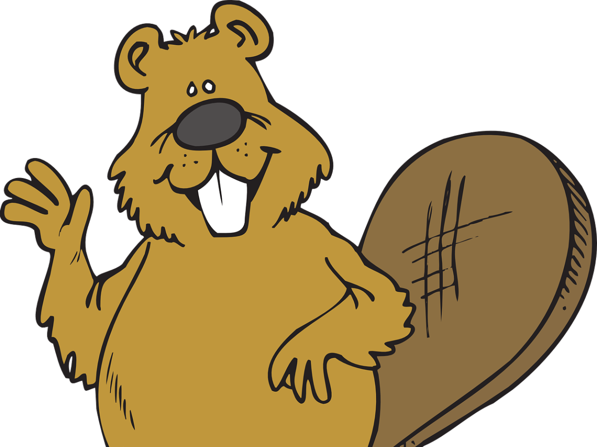 Goodbye beaver