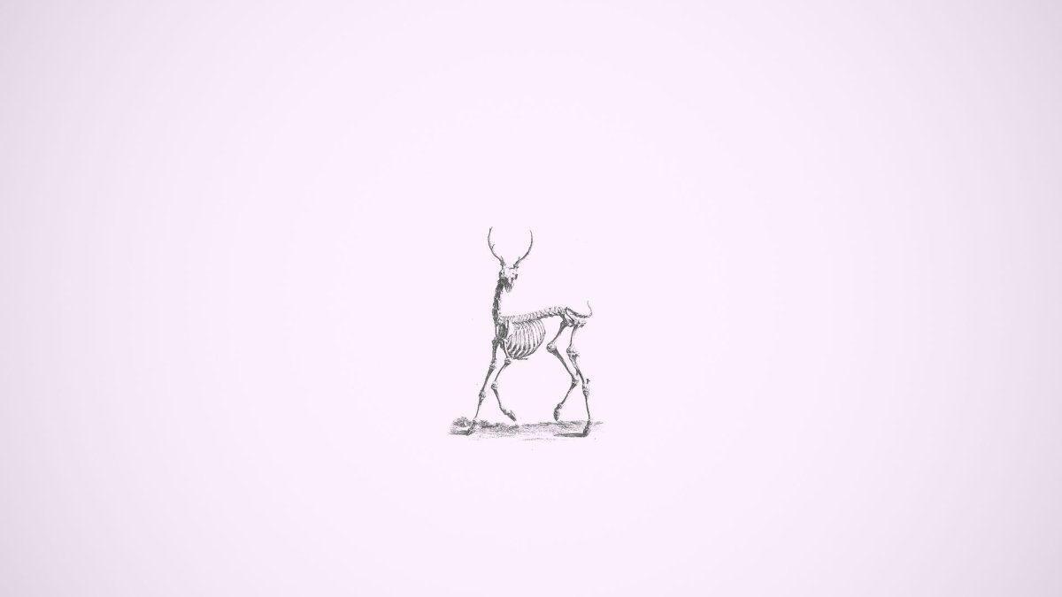 Картинки на рабочий стол Минимализм