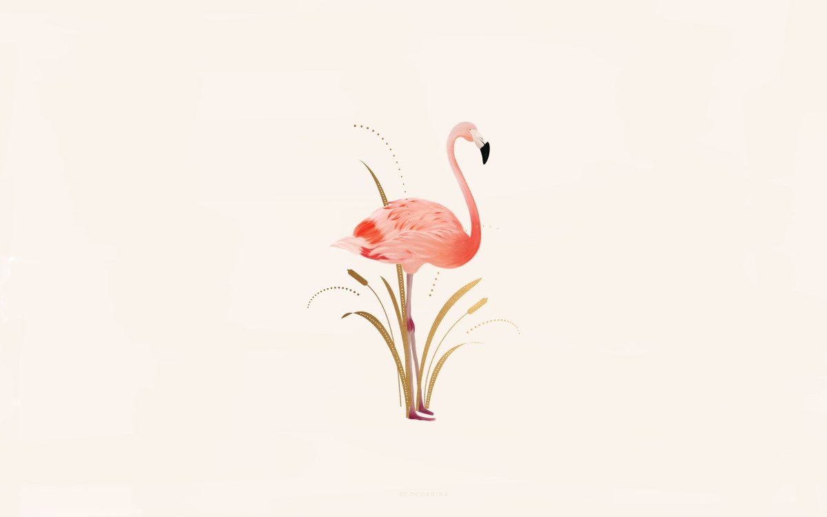 Цветы арт Минимализм