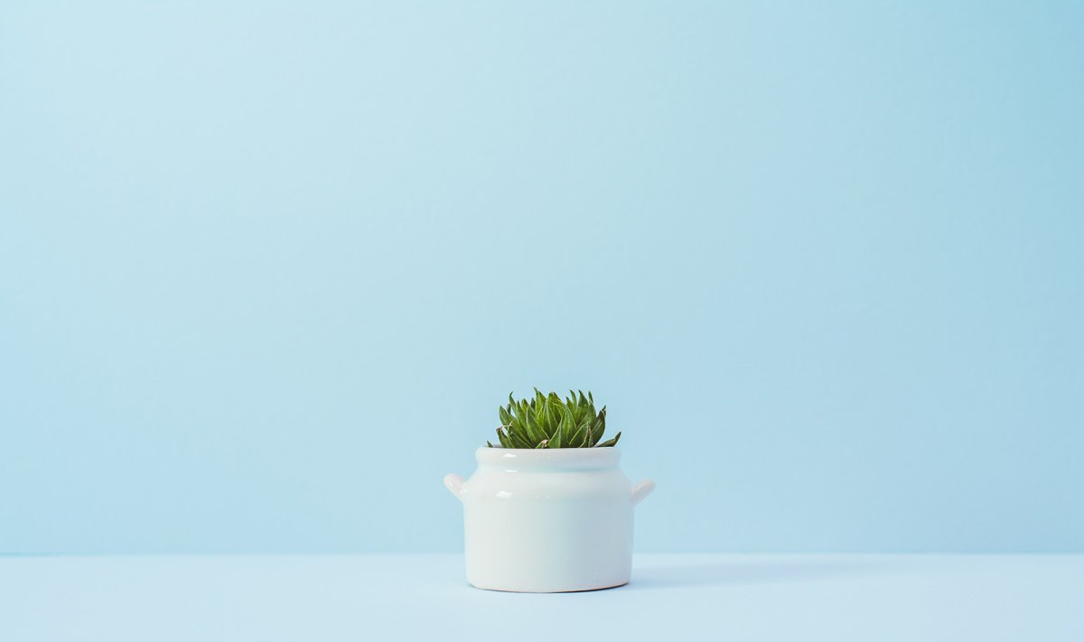 Картинки Минимализм