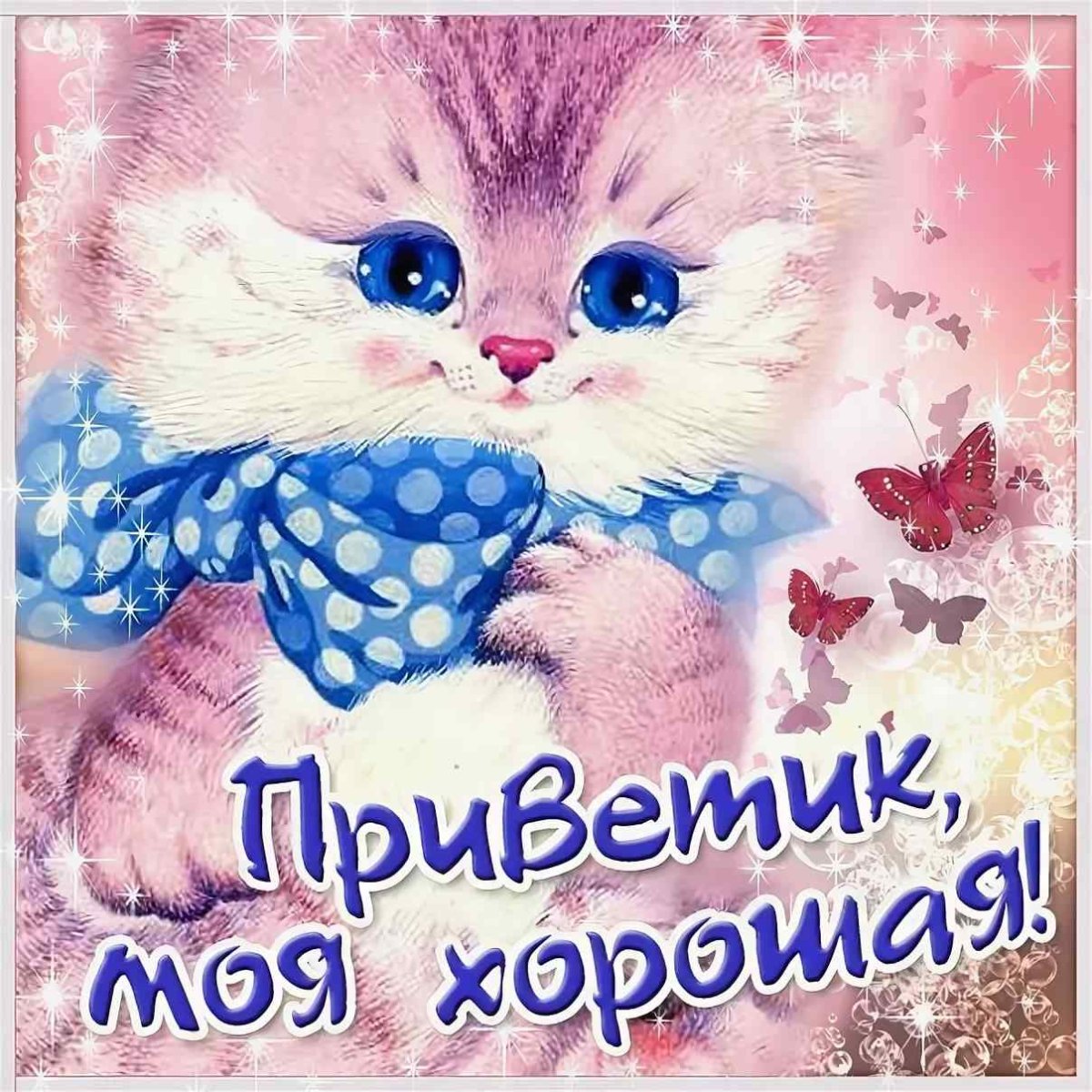 Привет красавица