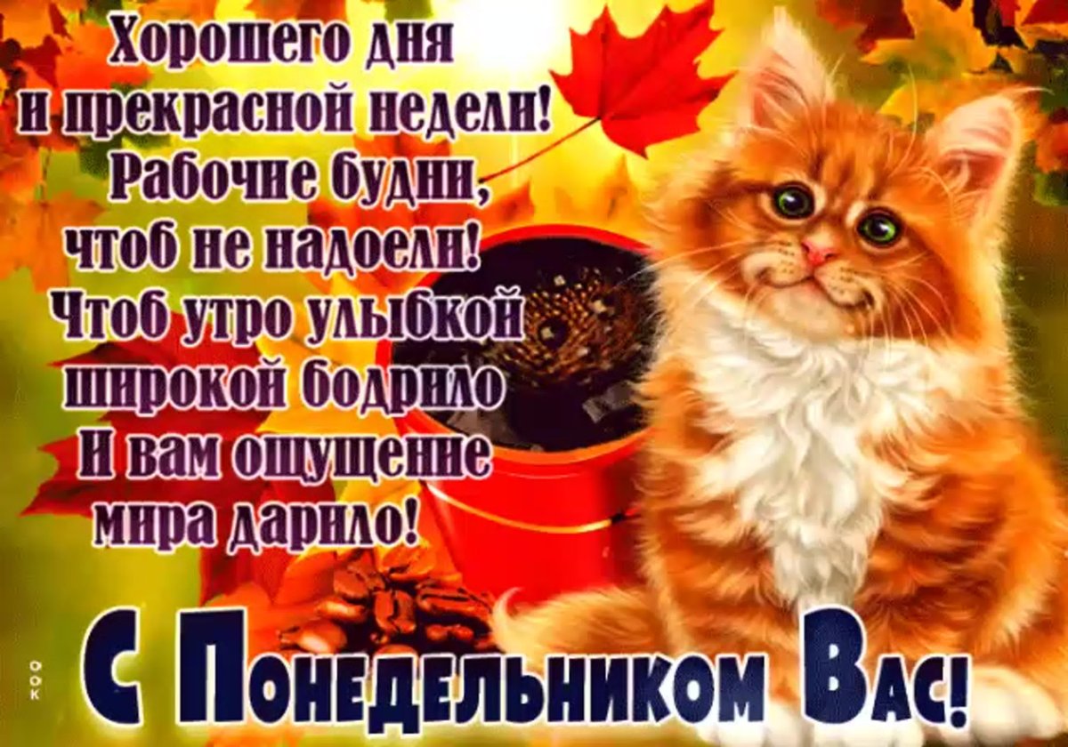 С добрым осенним утром понедельника
