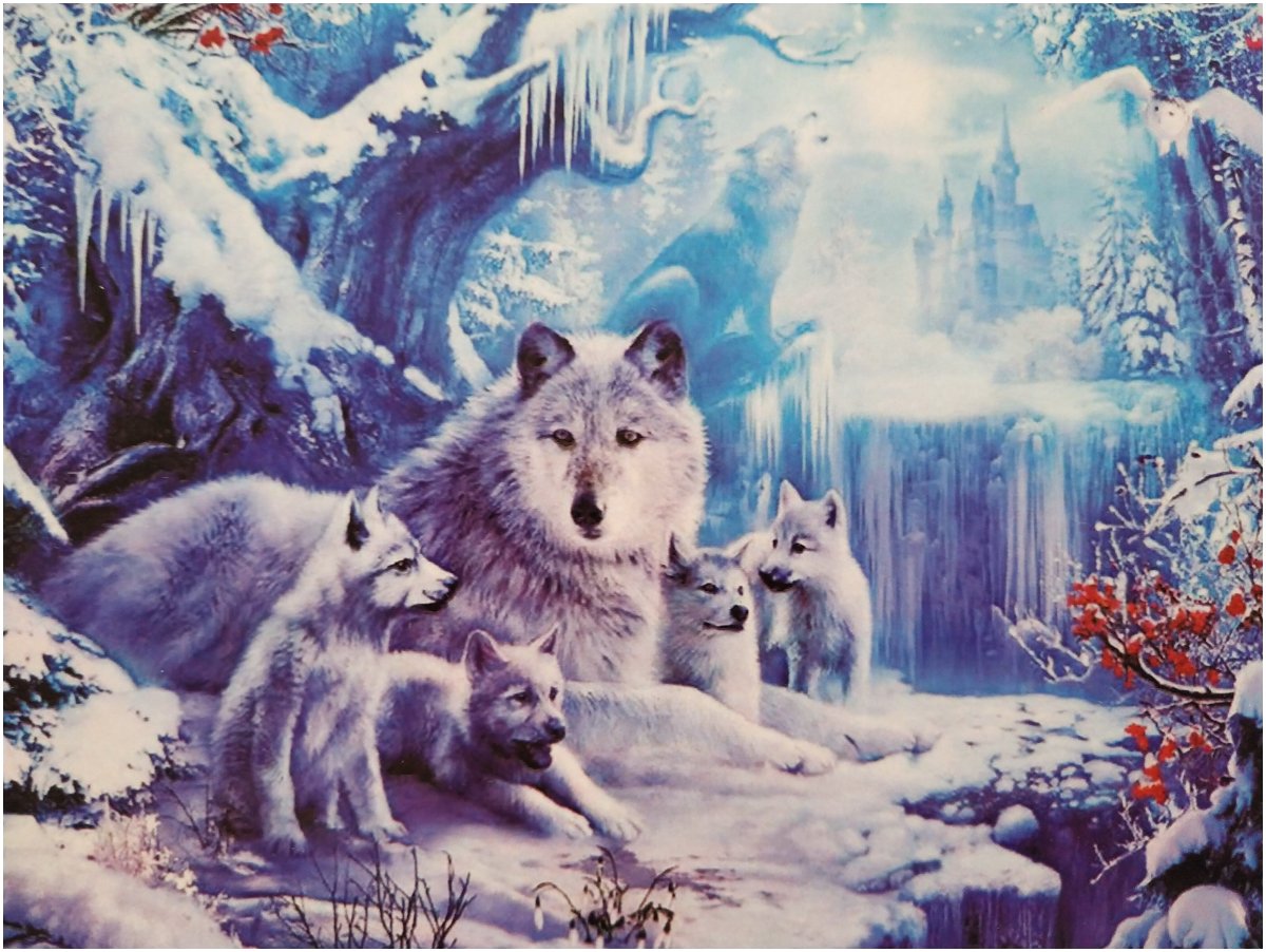 Зимняя сказка