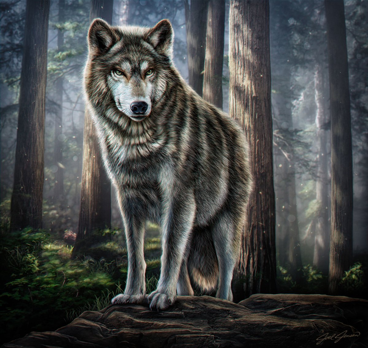 Волк в лесу арт
