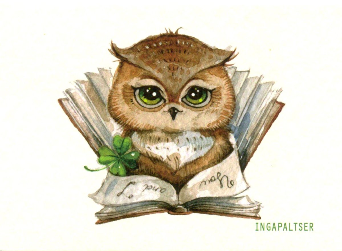 Инга Пальцер Совы школа