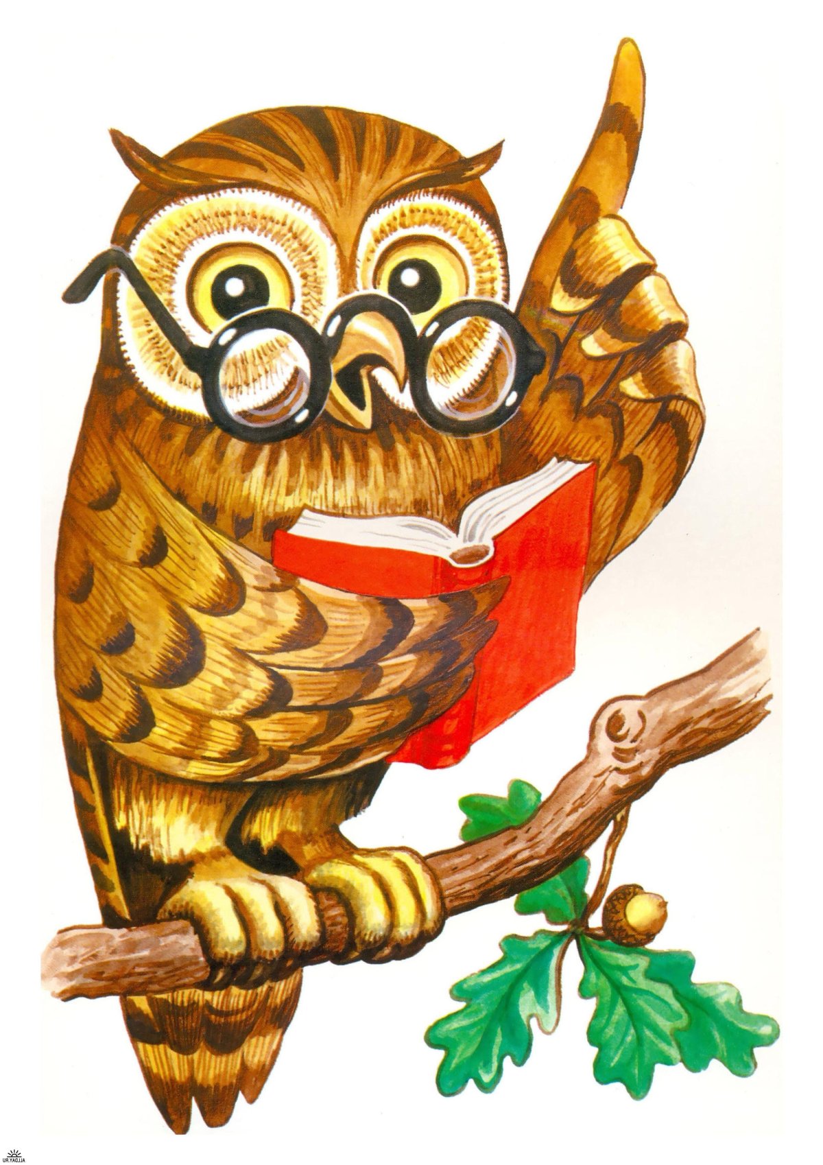 Сказочная Сова