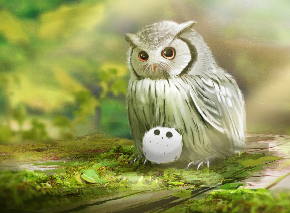 Заставка на рабочий стол Сова