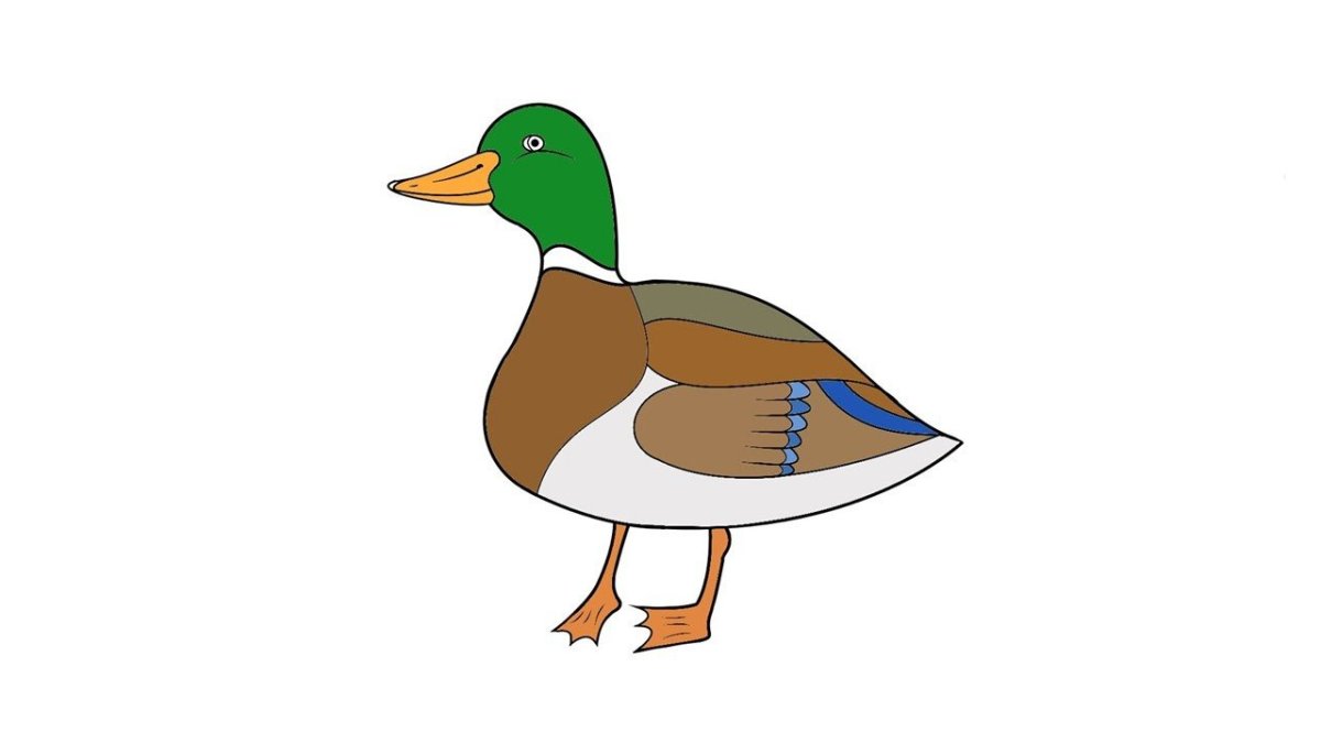 Утка плывет мультяшная