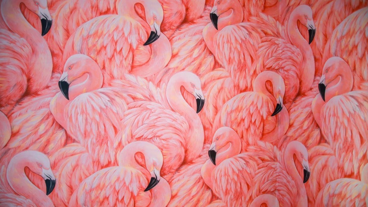 Фламинго арт