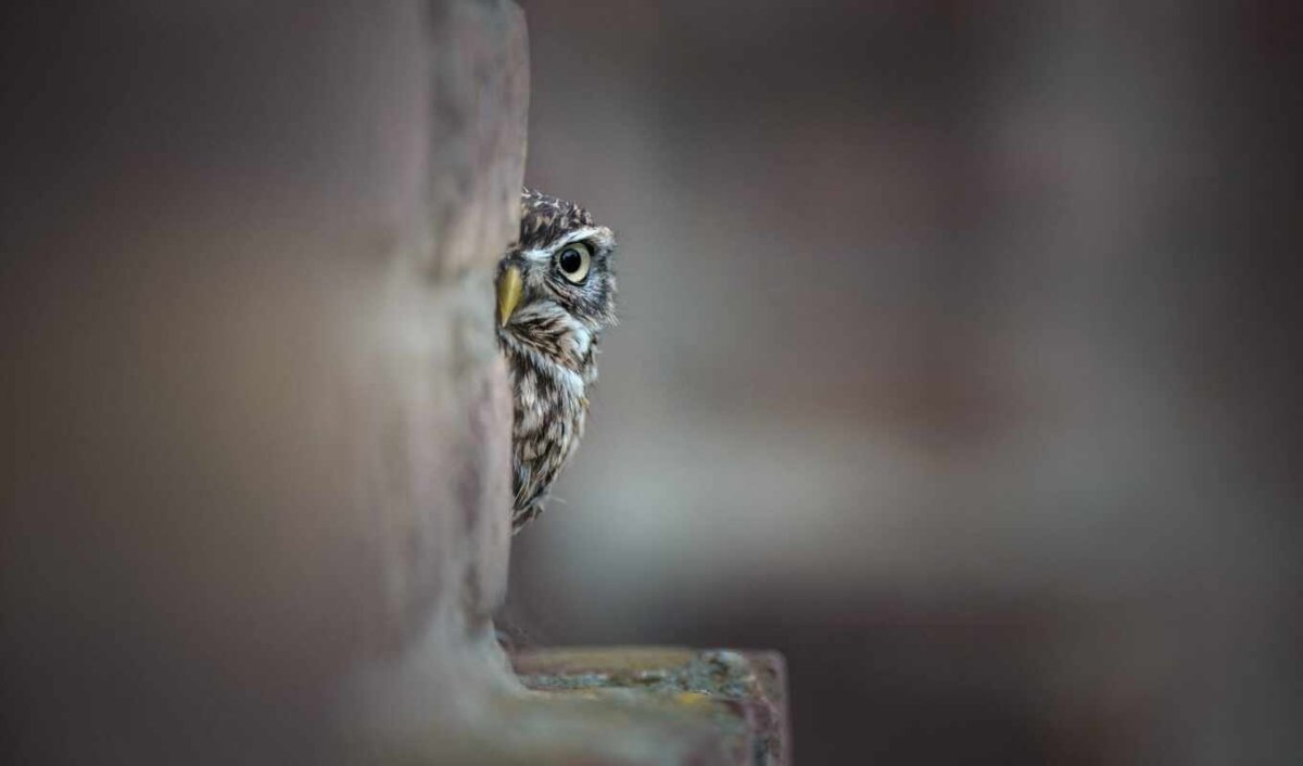 Фото Тани Брандт