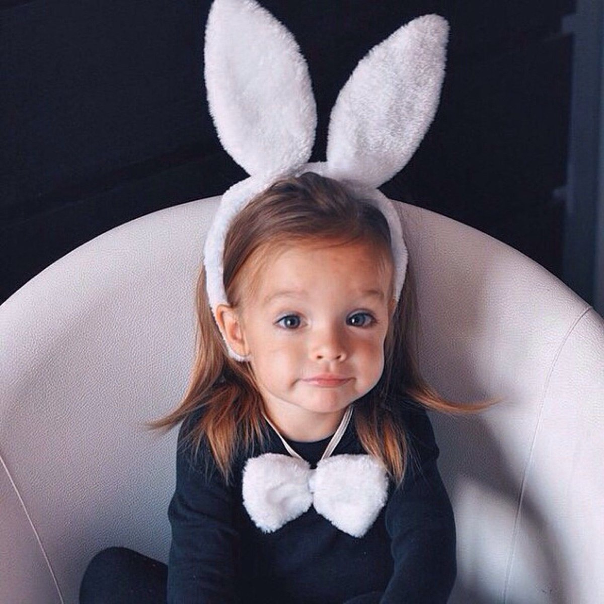 Кот грузин порода Ориентал