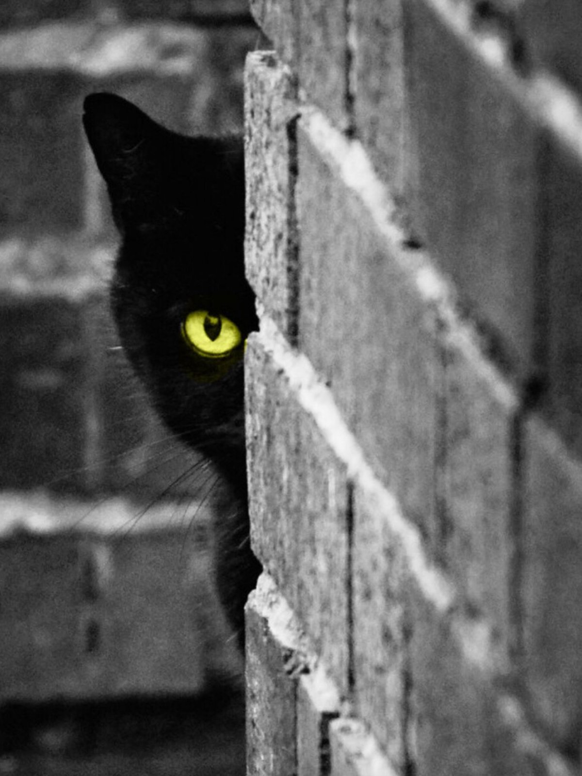 Выглядывает из за угла