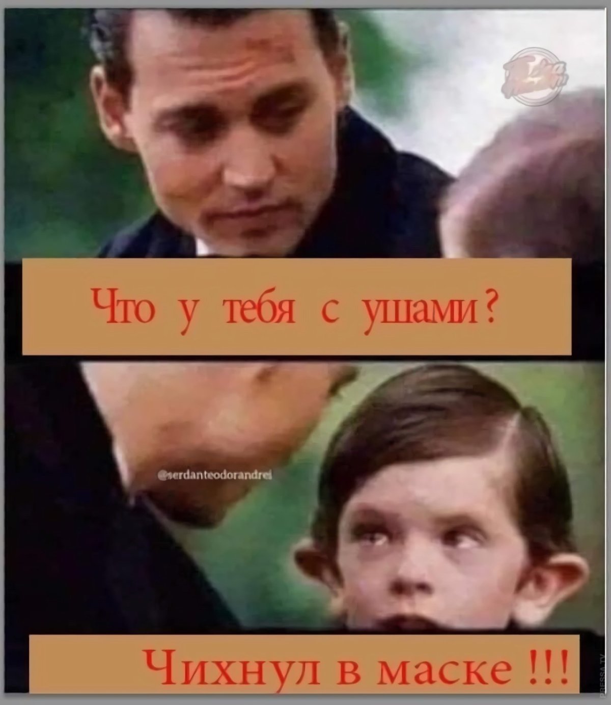 Собачьи уши