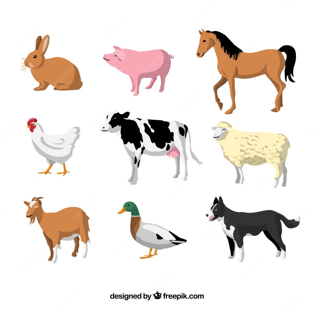Домашние животные вектор