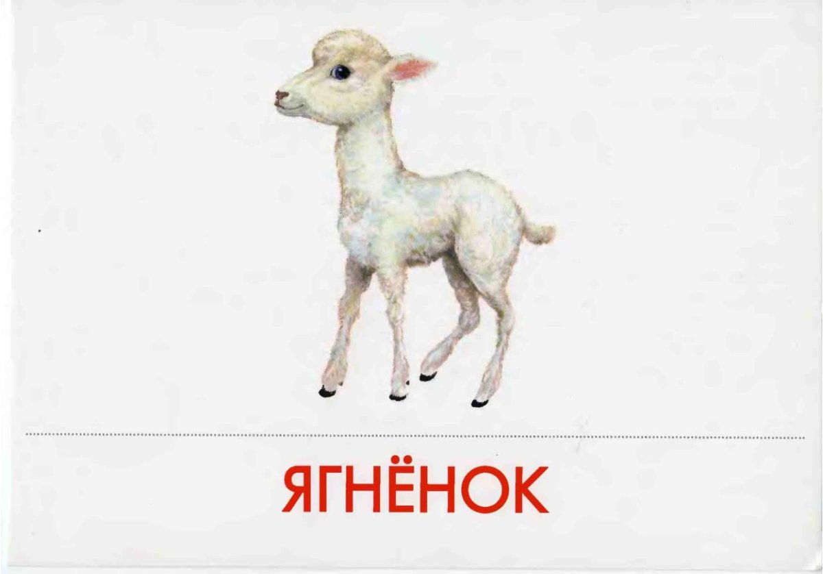 Векторные домашние животные