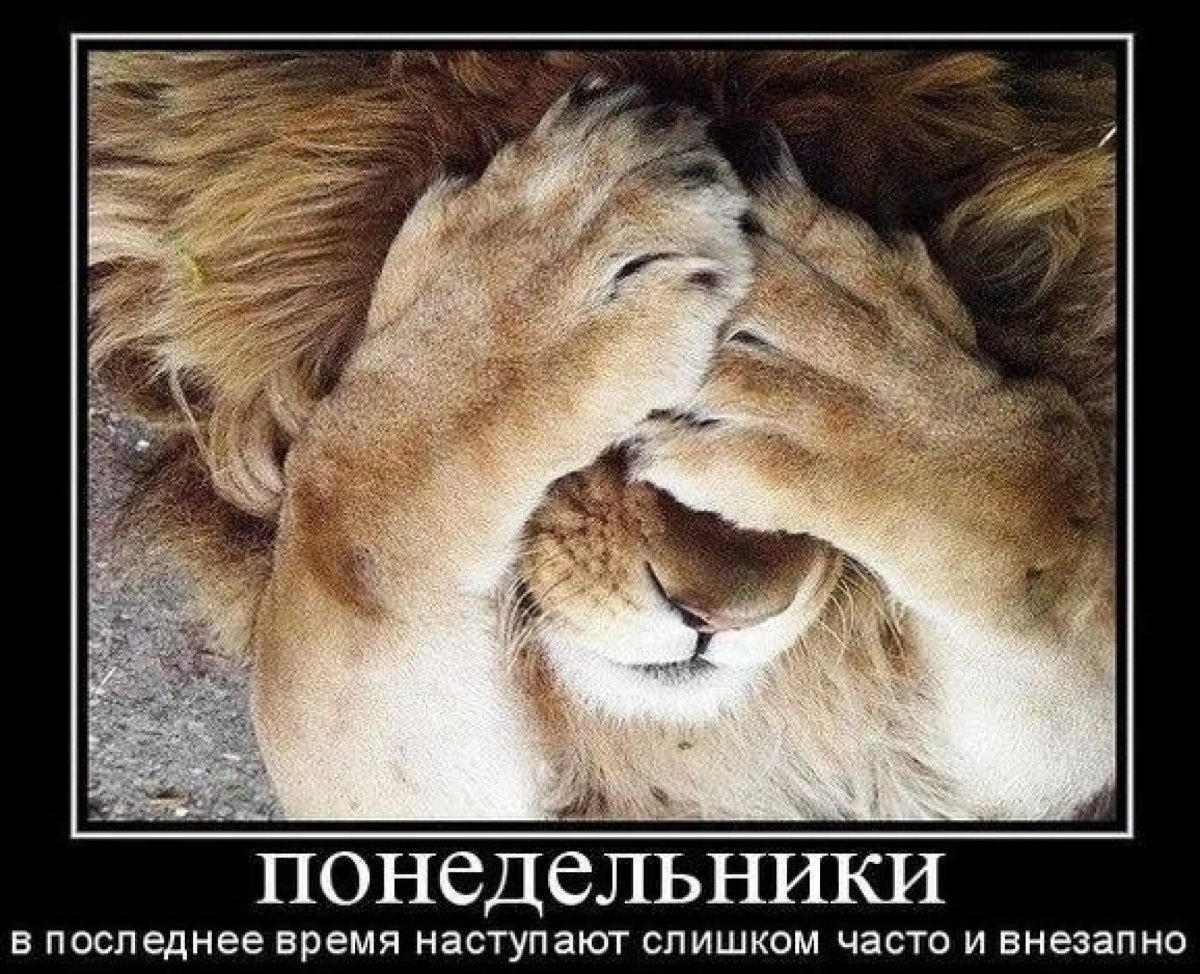 Доброе утром со львами с надписями