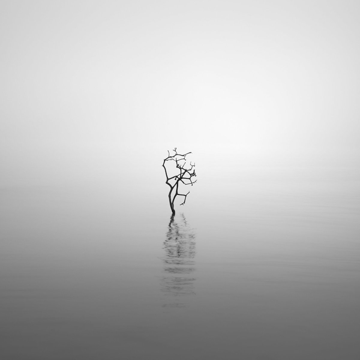 Красивые черно-белые фотографии со смыслом