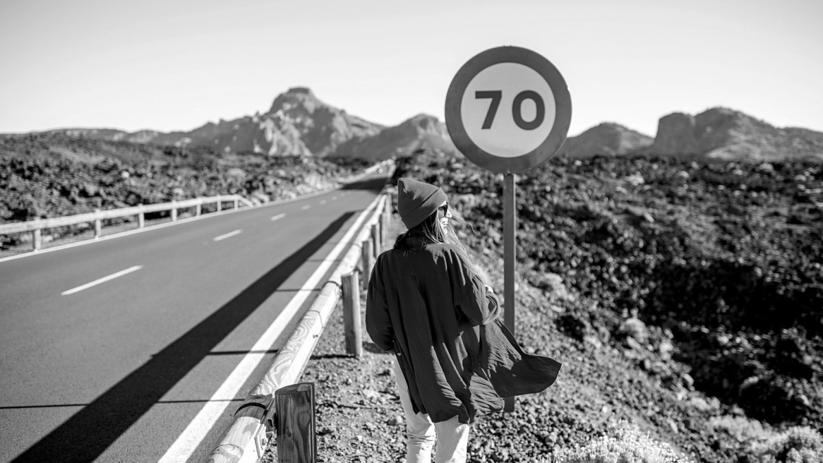 Голубь черно белый