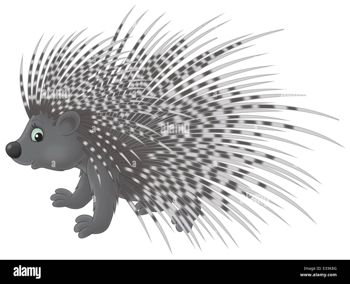 Дикобраз для детей