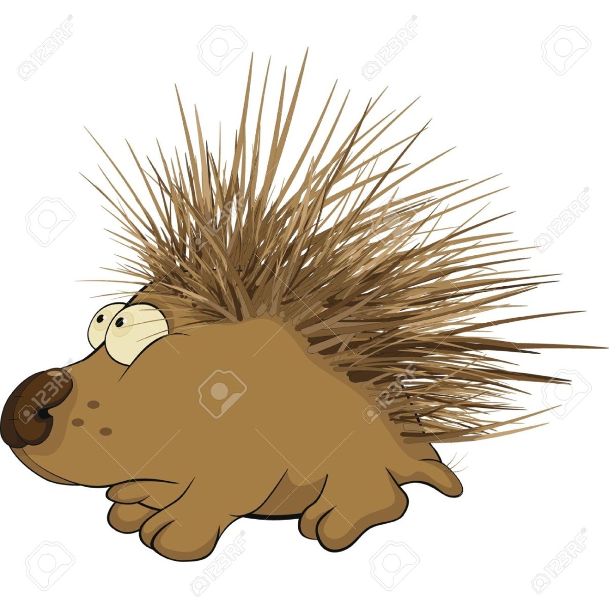 Североамериканский Дикобраз поркупин