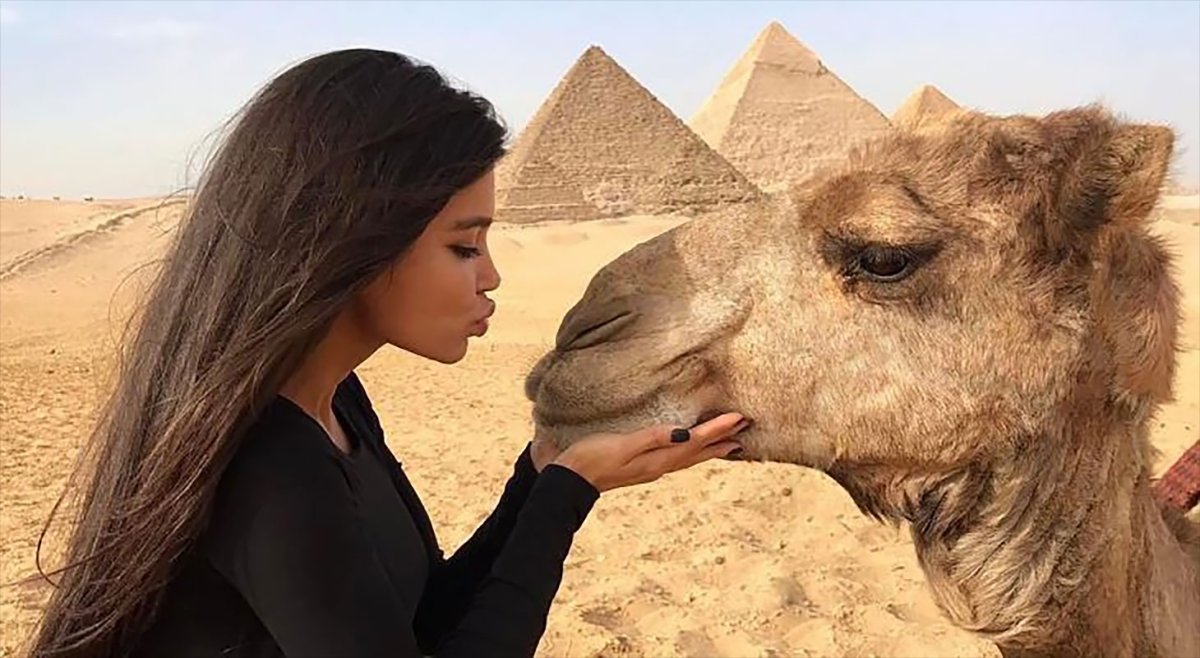 Фотосессия с верблюдом