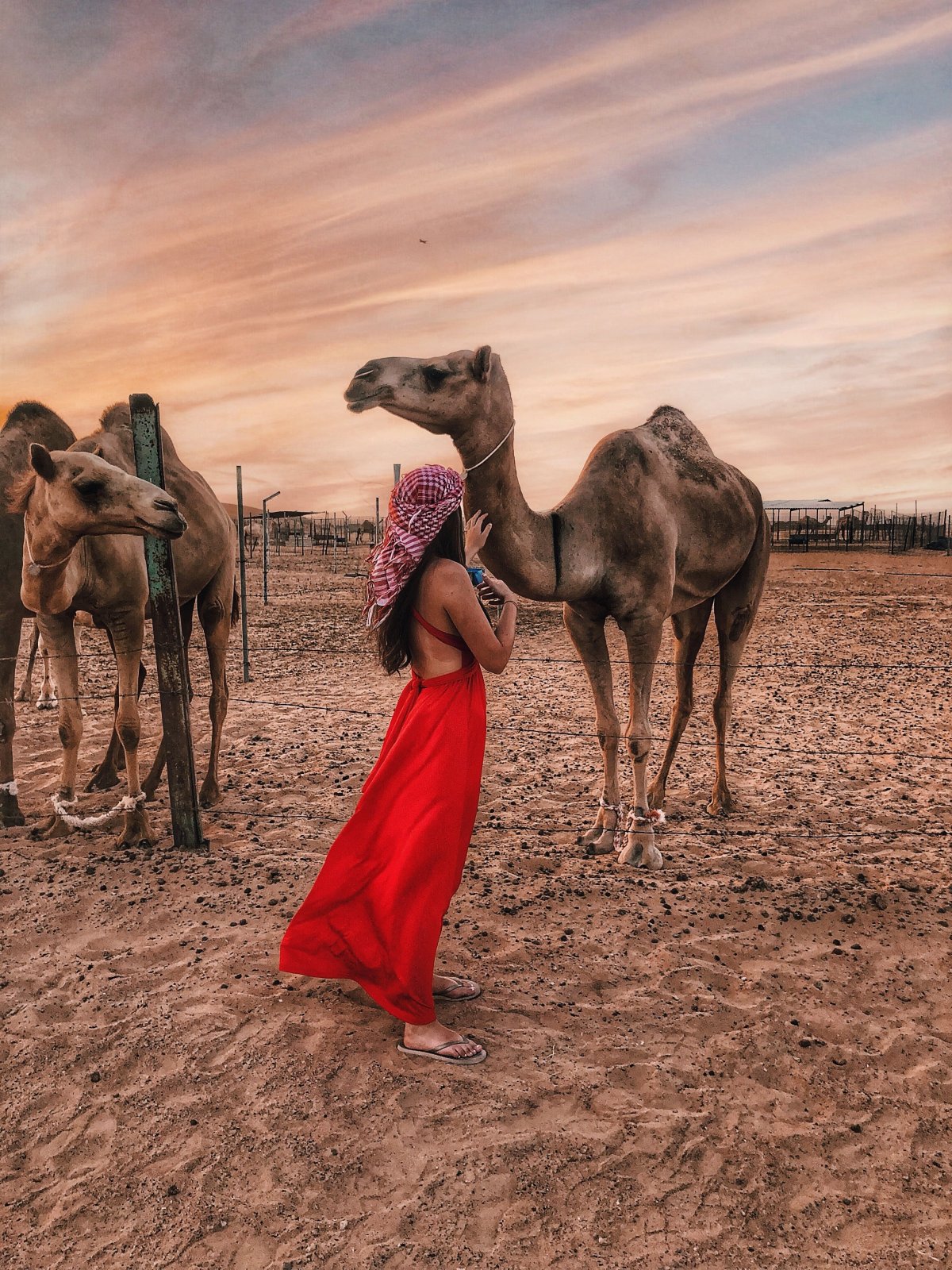 Десерт сафари Дубай