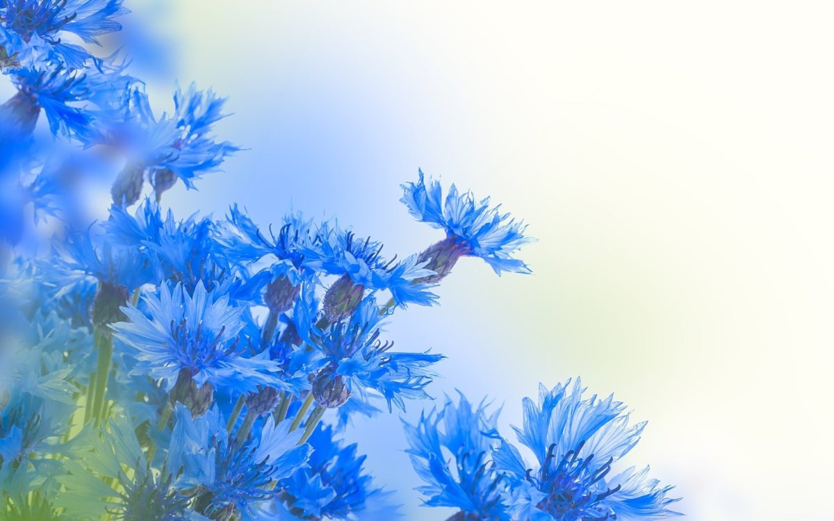 Блокнот море