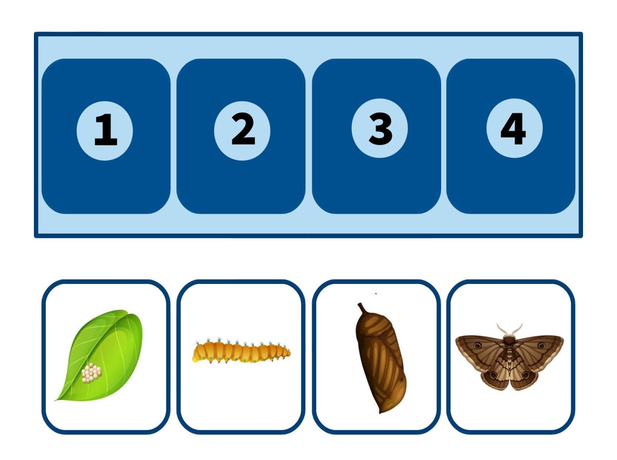 Поделка цикл бабочки