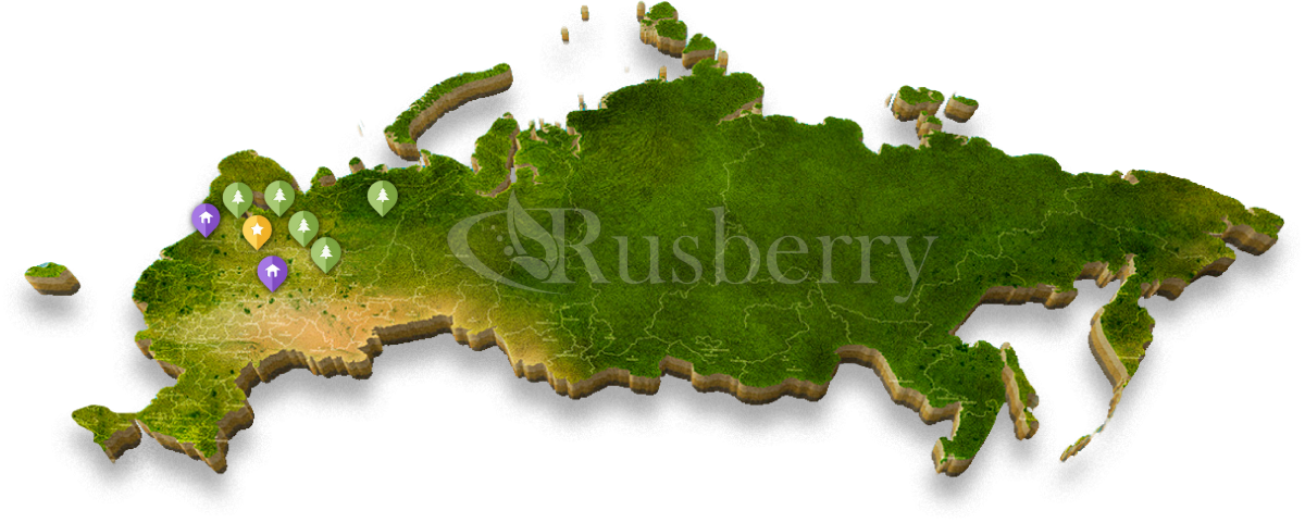 Карта России зеленая