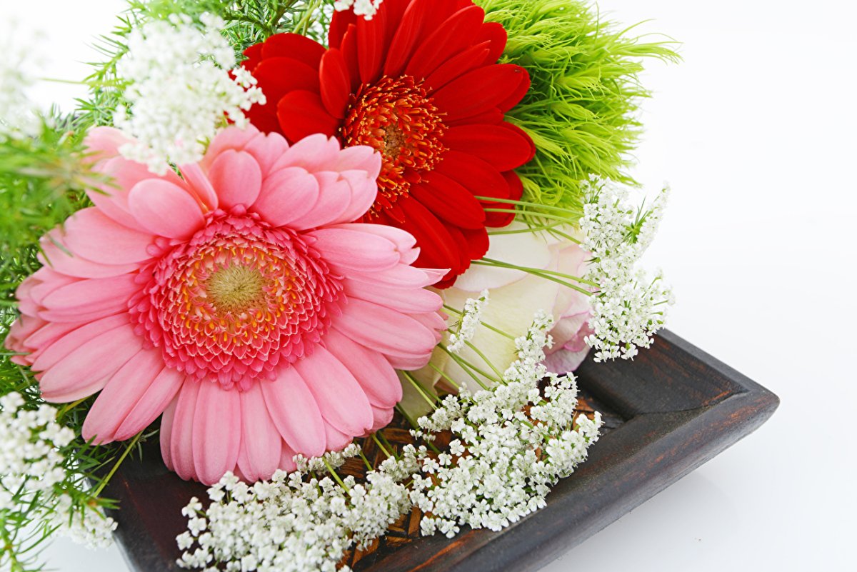 Открытка цветы герберы