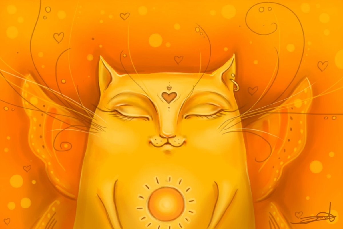 Солнечный котик арт