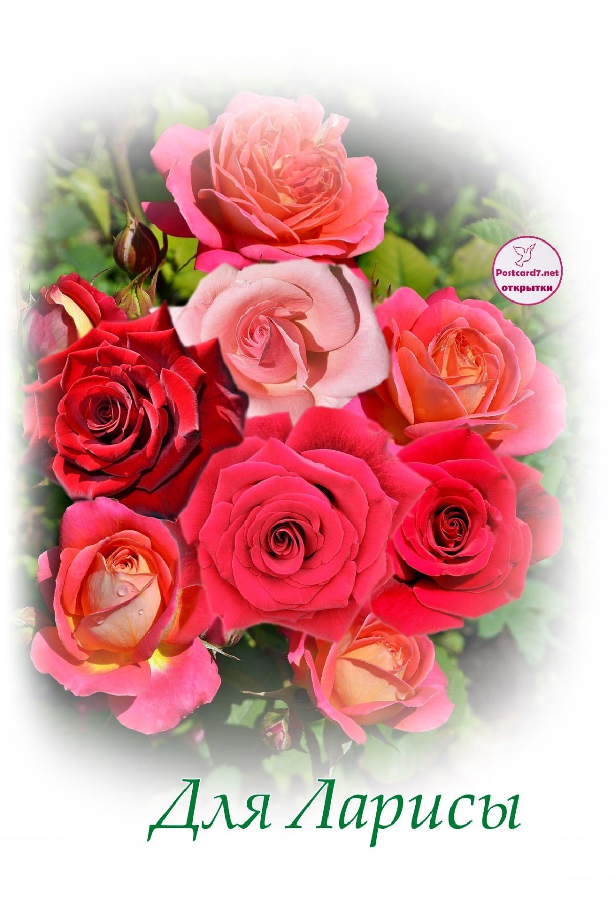 Открытка с днём рождения