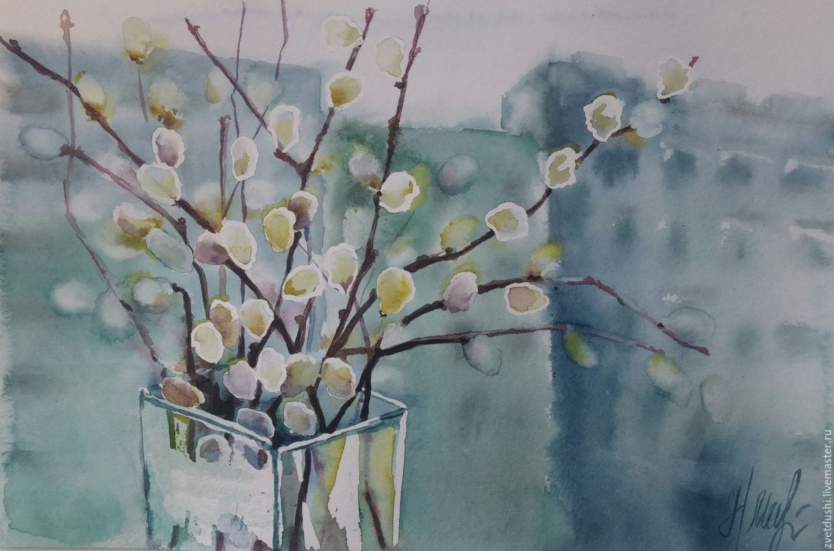 Верба акварель