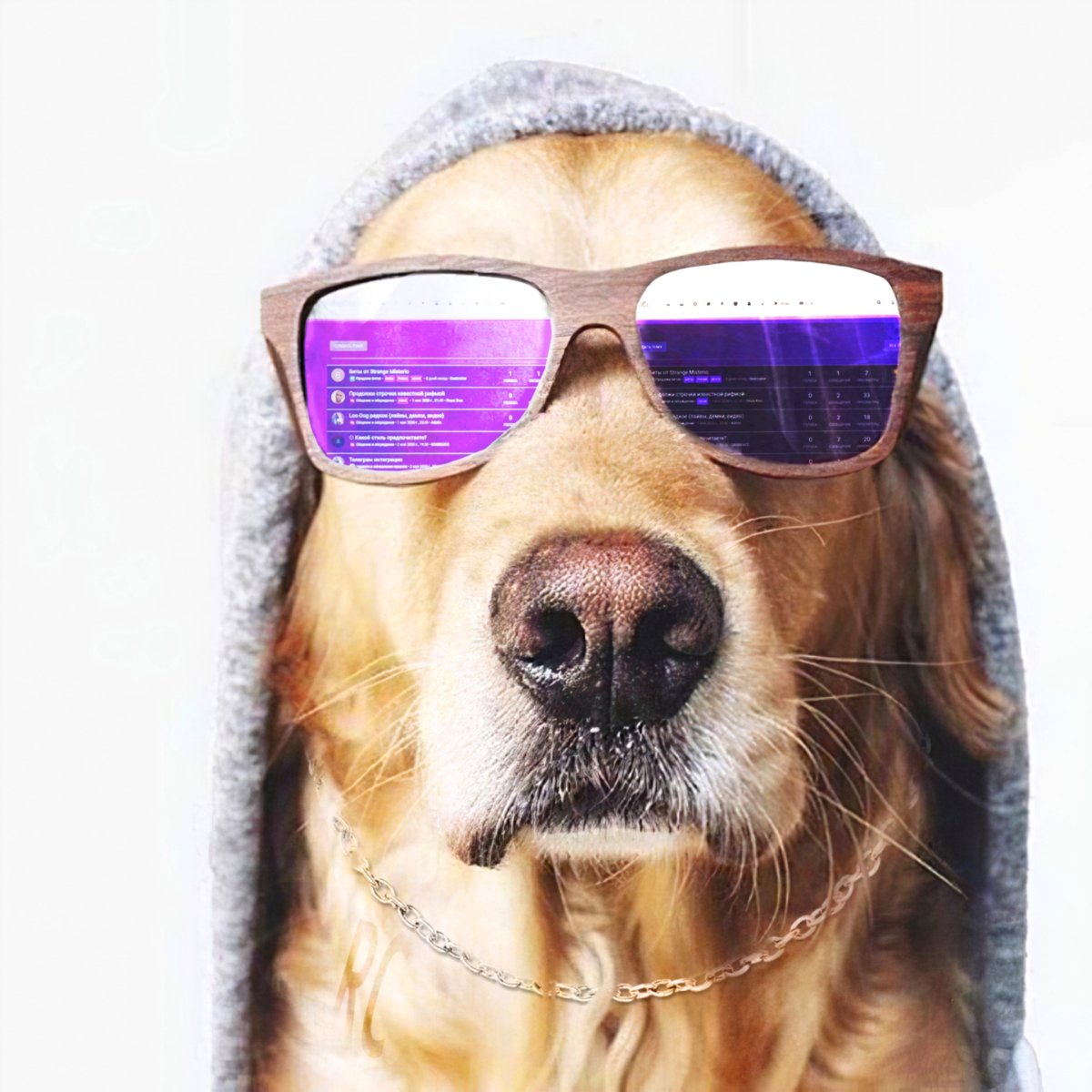 Собака в очках на аву