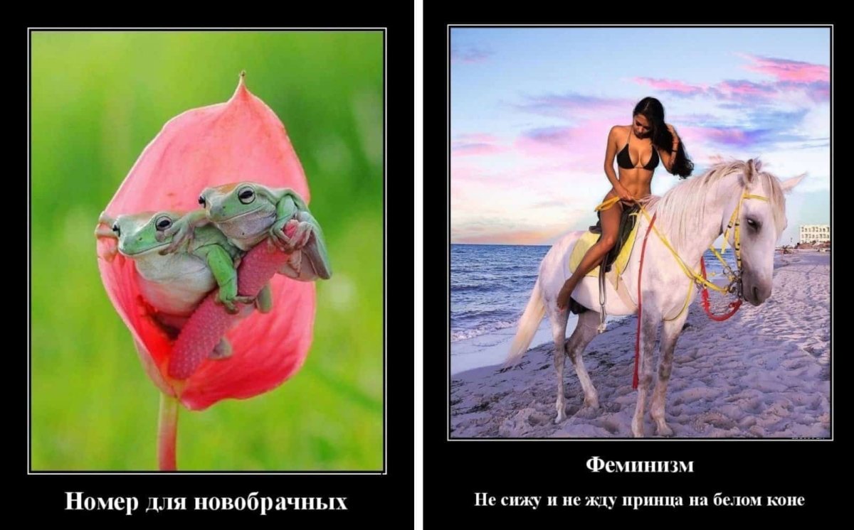 Где мой принц на белом коне